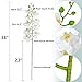 Htmeing 38 Inch Artificial Phalaenopsis Flowers Branches Real Touch (Not Silk) Orchids Flowers for Home Office Wedding Decoration,Pack of 2 (White)