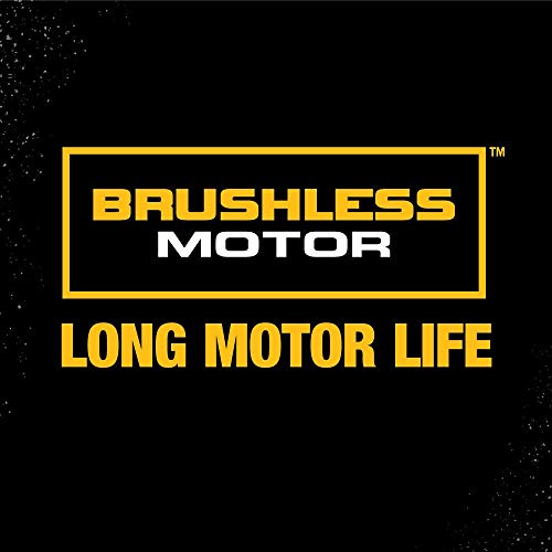 DEWALT 20V MAX XR Oscillating Tool Kit, 3-Speed (DCS356C1)