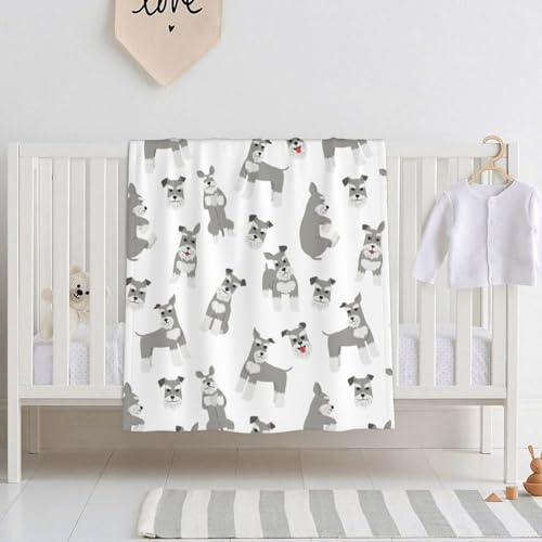 xr[ѕz ~j`AEViEU[ r[uuPbg |ѕz  uPbg ^IPbg ʋC q ۈ牀 [΍ GARpi lGʗp ?蕨 76X102cm