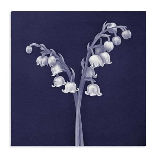 Stupell Industries Lily of Valley Drooping, 17 x 17 Inch Canvas Wall Art