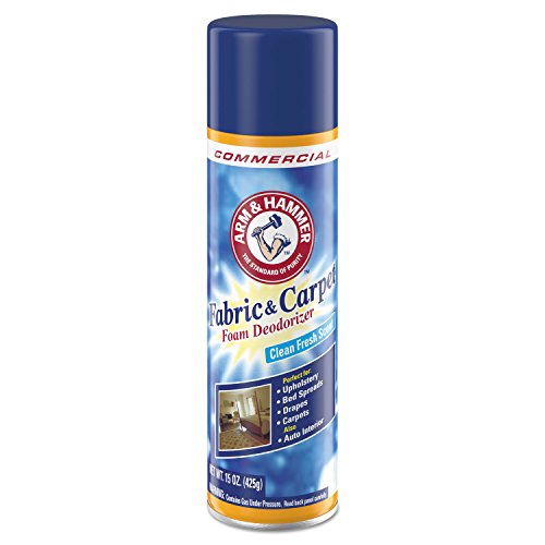 Fabric and Carpet Foam Deodorizer Professional, Aerosol, Fresh Scent, 15 fl oz (Case of 8)