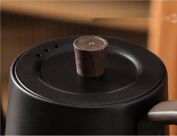 Bouilloire kung fu à long bec pour infuser le thé à température idéale