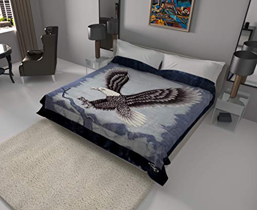 SOLARON Super Thick Heavy Weight Ultra Silky Soft Mink Heavy Duty Reversible Blanket Bed comforters bedspreads Bedding Comforter King or Queen (Queen, 118 Eagle Blue)