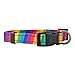 Native Pup Reflective Dog Collars (Small, Rainbow)