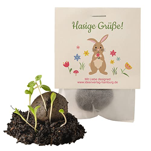 10x "Hasige Grüße" Samenbomben als Mitgebsel / Ostern / Geschenk für Osternest / Aufmerksamkeit / Seedbombs / Partytüten / Mitgebseltüten / Geschenktüten / Danksagung / Bedanken / Give-aways / Hasen / Saatkugeln Cover