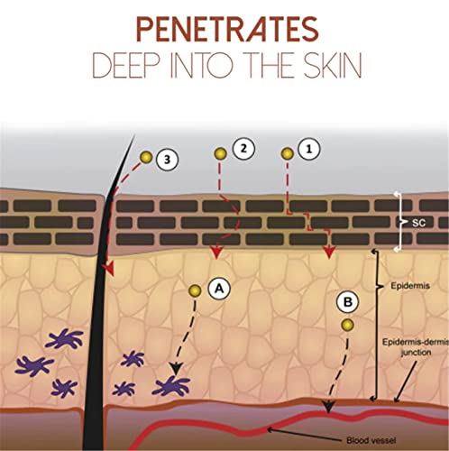 Mediginger Antiswelling Lympunclog Ointment, Anti Cellulite Firming Cream For Legs, Gooliving Antihump Lymphcare Ginger Ointment (3Pcs) #TOP5