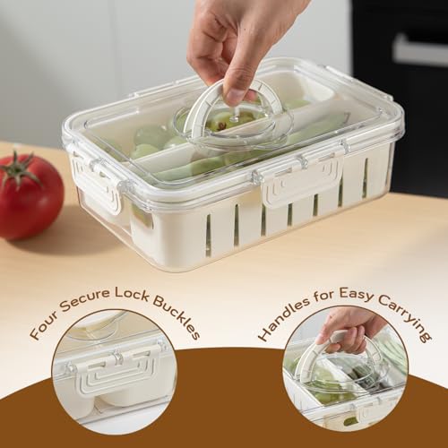 Image of HOKIPO BPA Free Plastic Fridge Storage Containers with 2 Partition & Lid - Crisper Containers for Fresh Vegetables, Fruits & Food | Freezer & Kitchen Organizer Set for Home Use (AR-6103)