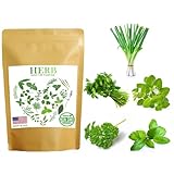 500+ Herb Seeds for Planting – 5 Pack Seeds Individually Packaged, Organic, Non GMO Shallots Seeds P