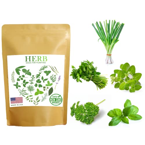 500+ Herb Seeds For Planting – 5 Pack Seeds Individually Packaged, Organic, Non Gmo Shallots Seeds Parsley Seeds Cilantro Seeds Oregano Seeds Basil Seeds #TOP16