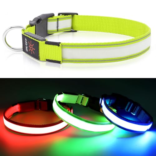 Visinite Light Up Dog Collar,LED Dog Collar Rechargeable Waterproof,Reflective Dog Light Up Collar,Fully Adjustable Flashing Dog Collar Lights for the Dark for Medium Large Dogs,Green, L