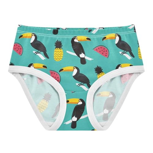 ZZKKO Toucan Watermelon Pineapple Girls Underwear Toddler Panties for Girls Comfort Brief Size 2T-8Y - Main Image