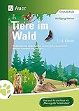 ökosystem wald tiere und pflanzen  Tiere im Wald: Problemlösend-entdeckendes Lernen im Sachunterricht: Wissen erarbeiten und festigen (1. bis 4. Klasse) (Tiere in ihren Lebensräumen)