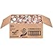Nestle Coffee-mate Coffee Creamer, Vanilla Caramel, liquid creamer singles, Pack of 180
