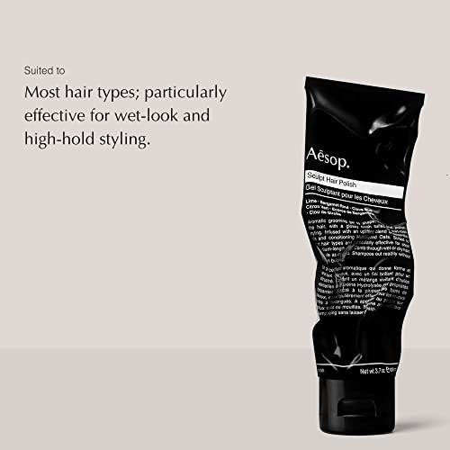 Aesop Sculpt Hair Polish | 100Ml / 3.4 Oz #TOP1