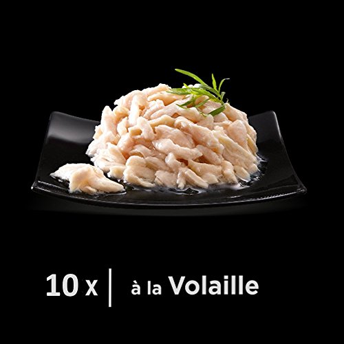 Sheba - Cupole alle reti