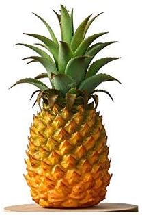 Realistic Artificial Fruits Fake Pineapple for Display High Simulation Artificial Dummy Fruits Vegetables Studio Photo Prop DIY Decoration Accessories Artificial Food Toys-Small Size