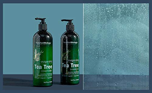 New York Biology Tea Tree Shampoo – Deep Cleanser – Relief For Dandruff And Dry Itchy Scalp – Therapeutic Grade - Helps Promote Hair Growth thumb #5