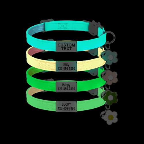 SIVAJI Glow in the Dark Cat Collar