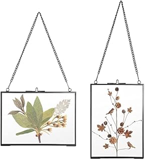 SUMTree Set of 2 Black Glass Hanging Photo Picture Display Frame, Floating Glass Picture Frame with Chain for Family Tree Mini Photo, Gallery Wall Art Work, Pressed Flower, collage, etc, 5*7 inch