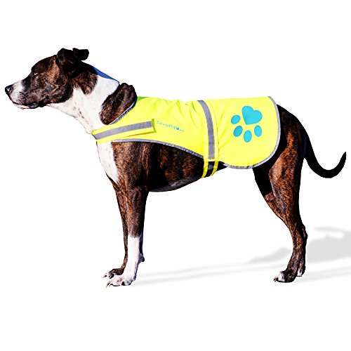 Safetypup Xd Urban Dog Reflective Vest. Our Fluorescent Hi-Visibility Dog Jacket In Multi-Colors Helps To Safeguard Your Pup In The Outdoors On And Off Leash #TOP3