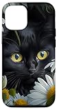 Black Cat Designs LTD