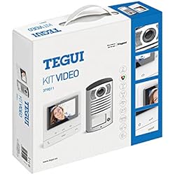 Kit Videoportero superficie2 hilos Tegui Linea 2000 con monitor CLASSE100V16B Basico379011