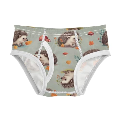 CHIFIGNO Boys' Briefs Cute Hedgehog Mushroom Toddler Boys Underwear Soft Cotton Briefs Underwear