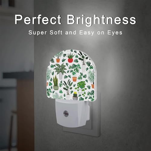 Image of Green Potted Plants Night Light, Home Botanical Floral Leaves Dusk to Dawn Night Light Plug in,0.5w Energy Saving Sleep Friendly Nightlights for Kids Boys Girls Home