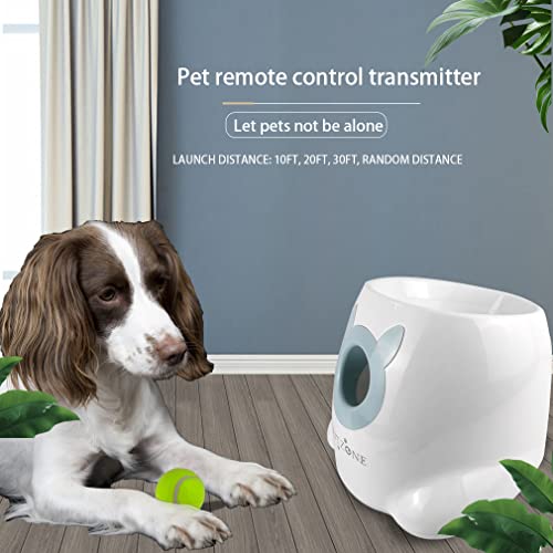 Bestzone Interactive Automatic Ball Launcher For Dogs, Thrower Machine For Small And Medium Size Dogs, 6 Balls Included (1.88 Inch)，Launch Distance 10-30Ft #TOP5