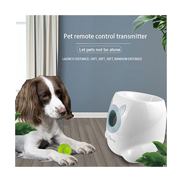 Thrower Machine for Small Size Dogs