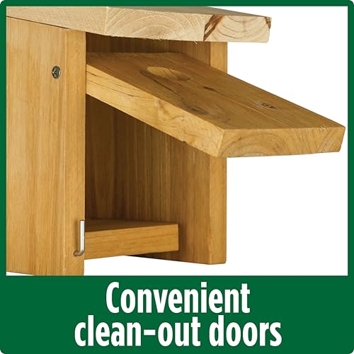 Nature's Way Cedar Box Wren House with Clean-Out Door, Wild Bird House and Outdoor Décor, Brown - Thumbnail 3