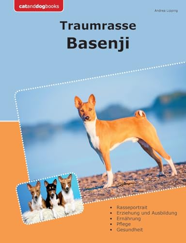 Wie erkennt man Fieber bei Katzen: Symptome und Tipps zur Diagnose
