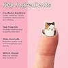 TONYMOLY x Squishmallows Cam the Calico Cat Blemish Patches Centella Asiatica Hydrocolloid Acne Treatment Stickers for Face Cute K-Beauty Pimple Patch 36 Count