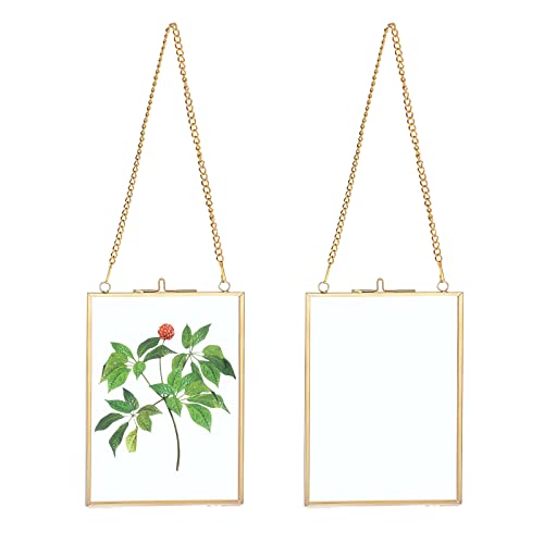 SUMTree 2Pcs Glas Bilderrahmen Hängende mit Ketten Fotorahmen Pflanze Probe Glasrahmen für gepresste Blumen Foto Bilder Nur Glasrahmen（Golden,13x18cm,Rechteck）