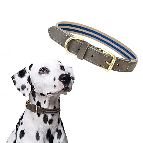 Mile High Life Canvas and Leather Dog Collar #TOP23