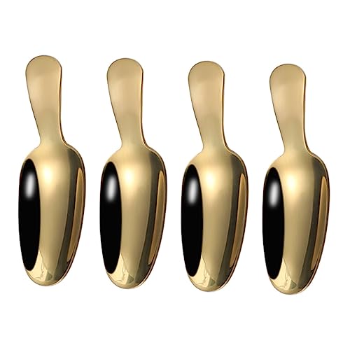 BRIGHTFUFU 4Pcs Short Handle Stainless Steel Tea Scoop Portable Kitchen Seasoning Spoon for Tea Ice Cream and Dessert Practical and Easy to Clean