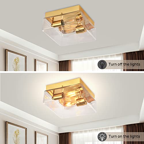 2-Light Flush Mount Ceiling Light Fixture, Gold Ceiling Light With Clear Glass Shade, Modern Light Fixtures Ceiling For Dining Room Living Room Kitchen Bedroom Bulb Not Included #TOP2