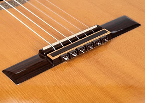 Classical Flamenco Acoustic Guitar Plastic Beads In Shiny Brown For Nylon Strings By Alba Guitar Beads #TOP2