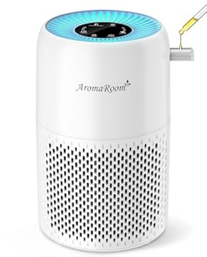 best air purifier for pellet stove