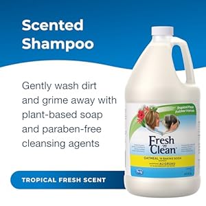 Pet-Ag Fresh ’n Clean Oatmeal ’n Baking Soda Shampoo – Tropical Fresh Scent – 64 oz – Nurtures Dry, Itchy & Sensitive Skin with Vitamin E & Aloe – Strengthens & Repairs Coats – Soap Free