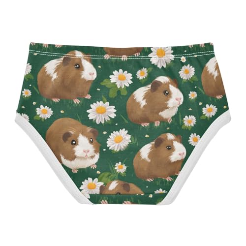 Wusikd Brown Guinea Girls' Underwear Cotton Cute Girls Briefs Soft Toddler Underwear 2T2