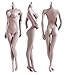HiPlay Phicen 12" Female Seamless Action Figures-Realistic Full Silicone Body Pale Skin & Stainless Steel Skeleton-1/6 Scale Super Flexible Female Figure Dolls for Arts (Recommend Figure: Phicen S04B)