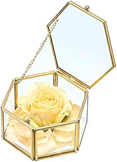Sumnacon Jewelry Decorative Box Glass Trinket Makeup Organizer Gift Box Jewelry Display Holder for Earrings,Necklaces,Rings Golden