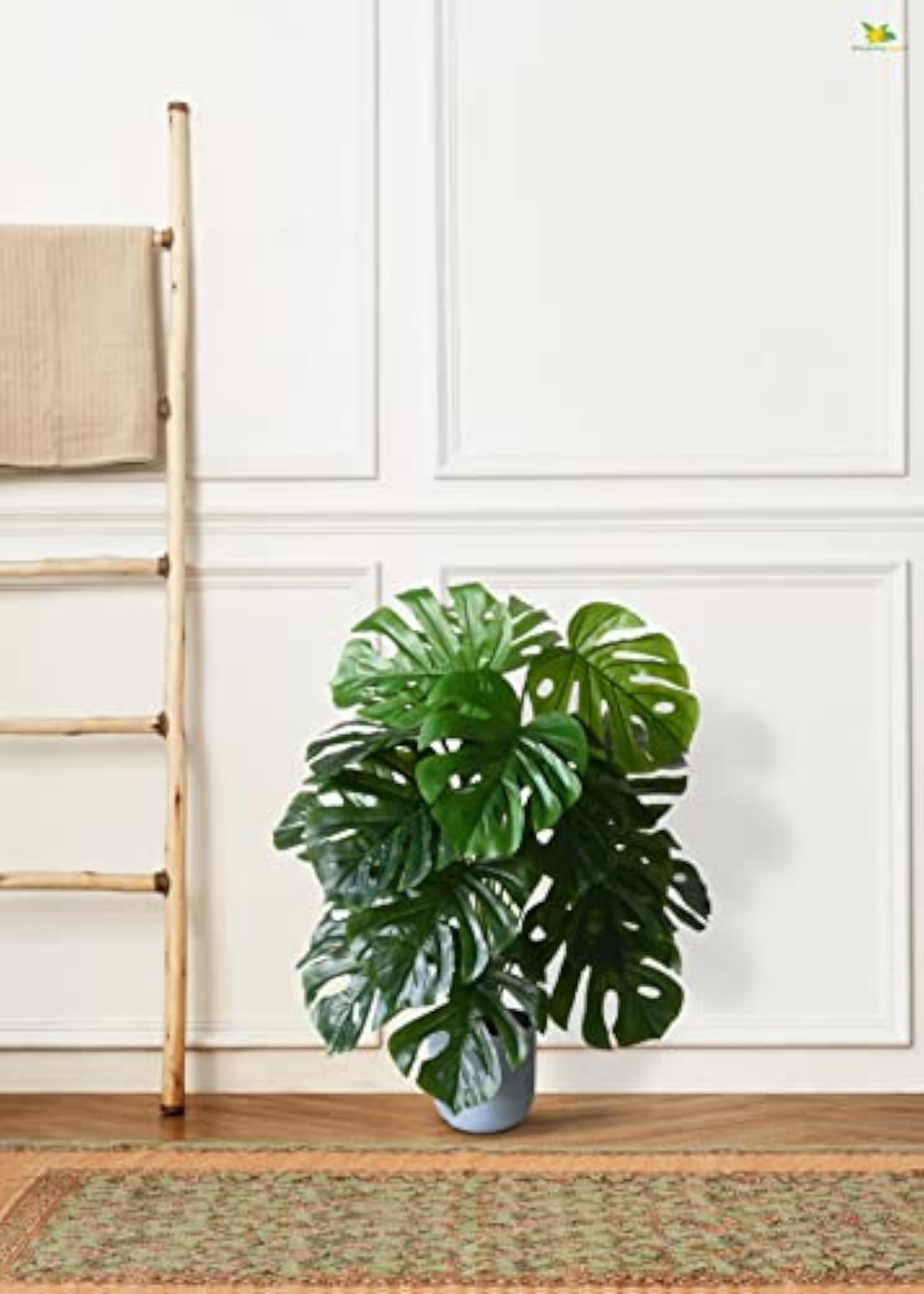 Artificial Monstera Plant with Black Pot, Ornamental Decor