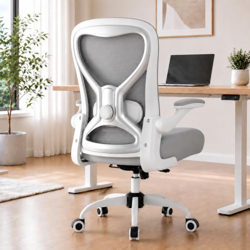 Image of Ergonomic Home Office Chair, 4-Way Lumbar, Thick Cushion, 330LBS (Gray /Finish Silver)