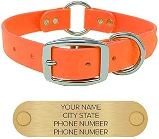 cabelas dog collars
