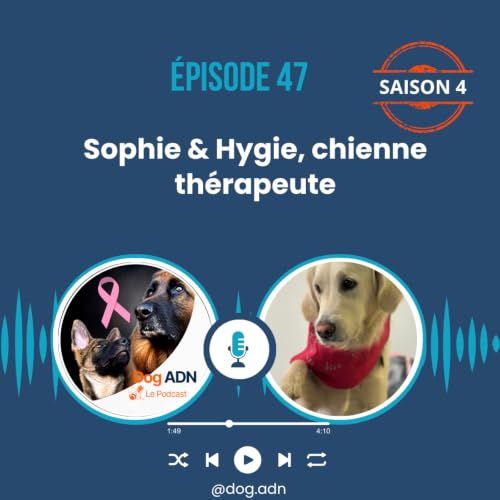 #47, Hygie chienne th&eacute;rapeute
