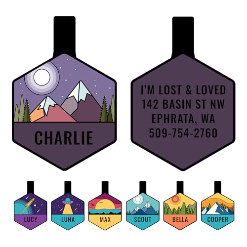 GoTags Silent Engraved Hexagon Pet ID Tag - Mountain Purple