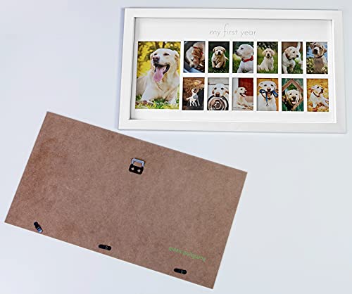 Green Pollywog | My First Year Picture Frame For Dogs | 12 Month Photo Frame | White Wood Frame | Fur Baby Frame | Fur Baby Milestone Picture Display | Dog Keepsake Frame | Dog Birthday Gift #TOP3
