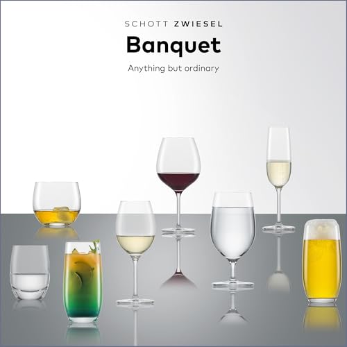 SCHOTT ZWIESEL Banquet Iced Beverage Cocktail Glass (Set of 6), Bar Glasses for Long Drinks, Dishwasher-Safe Machine-Made Tritan Crystal Glasses, Made in Germany(18 Ounce) by Schott Zwiesel - Image 4